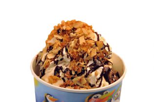 Der Eisladen - Eisimpressionen